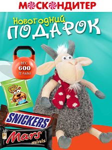 Новогодний подарок Козленок Митя